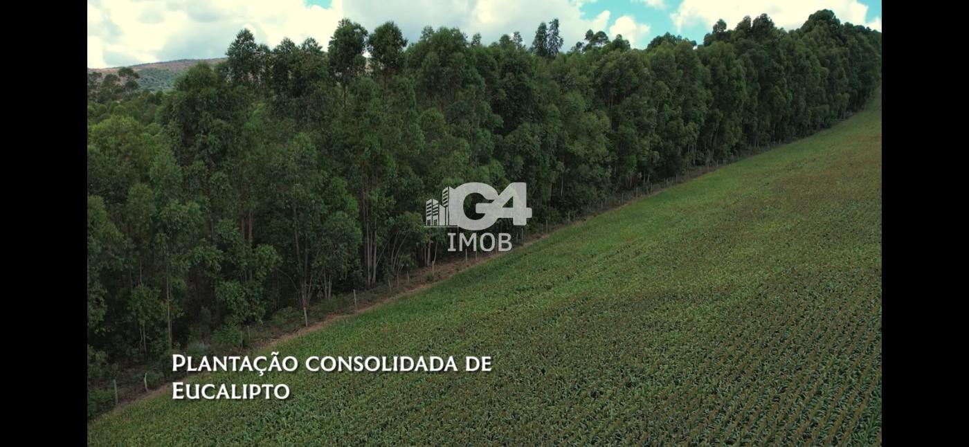 Chácara, 1 quarto - Foto 10