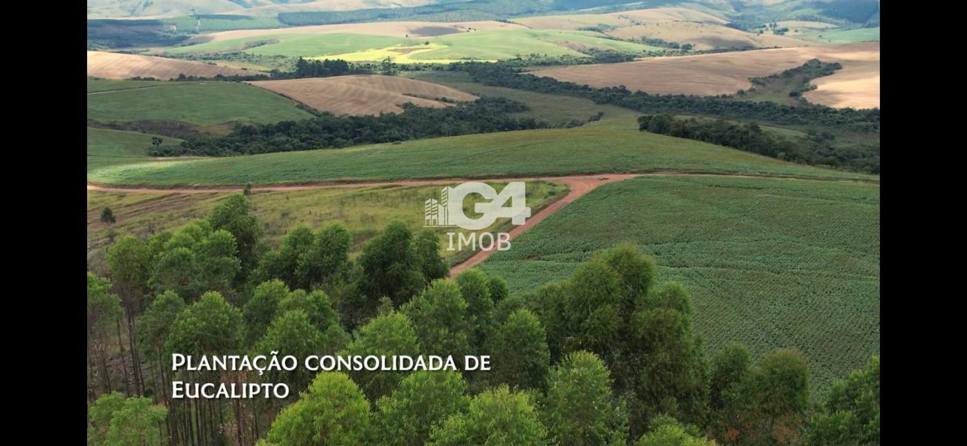 Chácara, 1 quarto - Foto 11