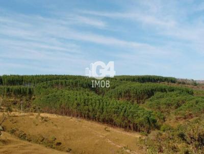 Fazenda para Venda, em Gurupi, bairro rea Rural de Gurupi, 3 dormitrios, 2 banheiros, 4 vagas